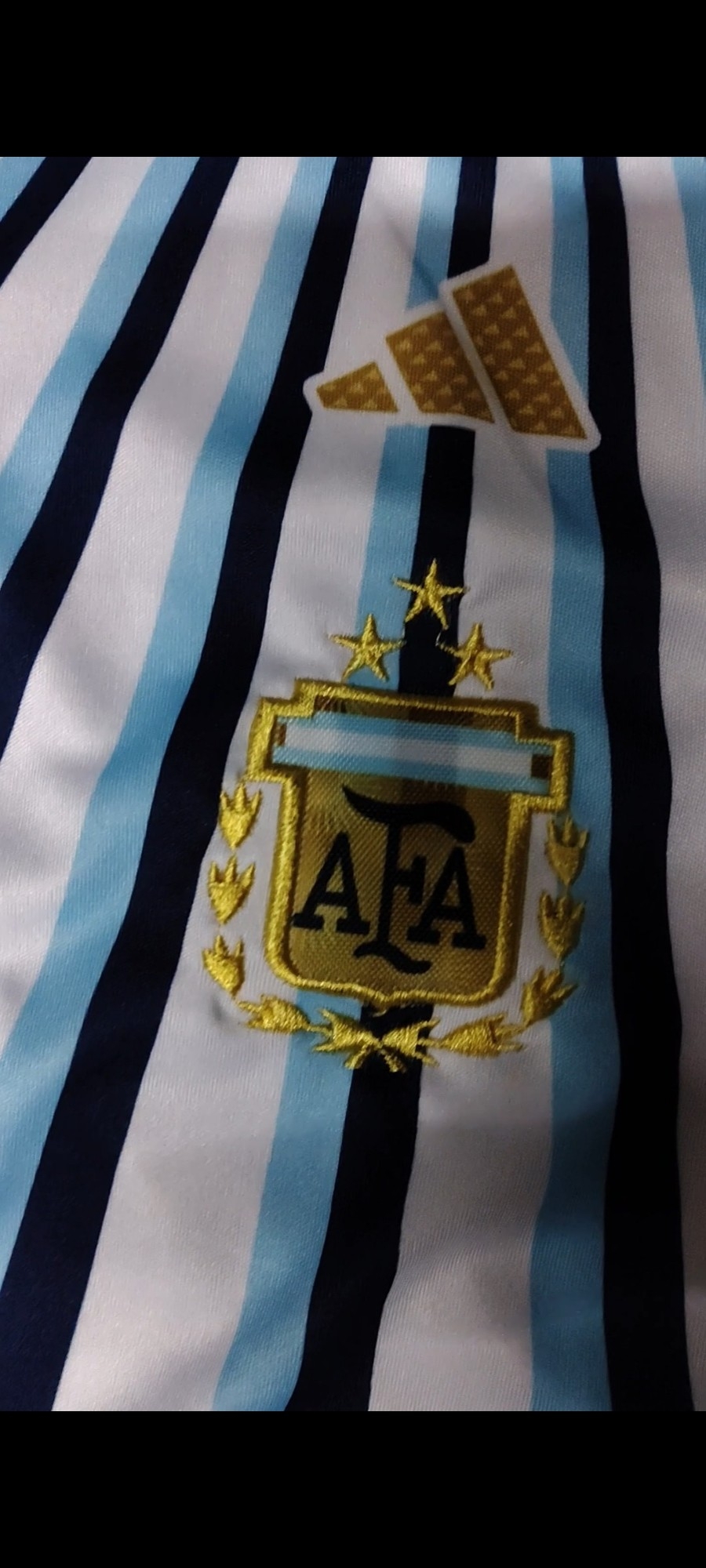 Camiseta Afa Pre Calentamiento Niños - Imagen 2