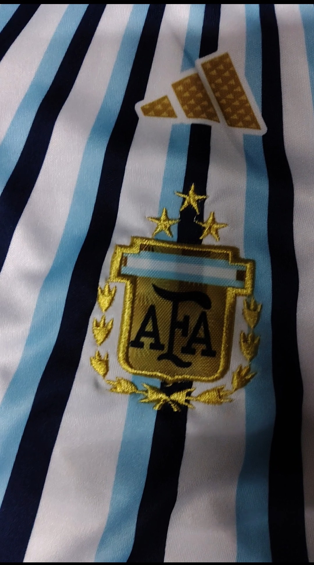 Prematch Entrenamiento Afa Adultos - Imagen 1