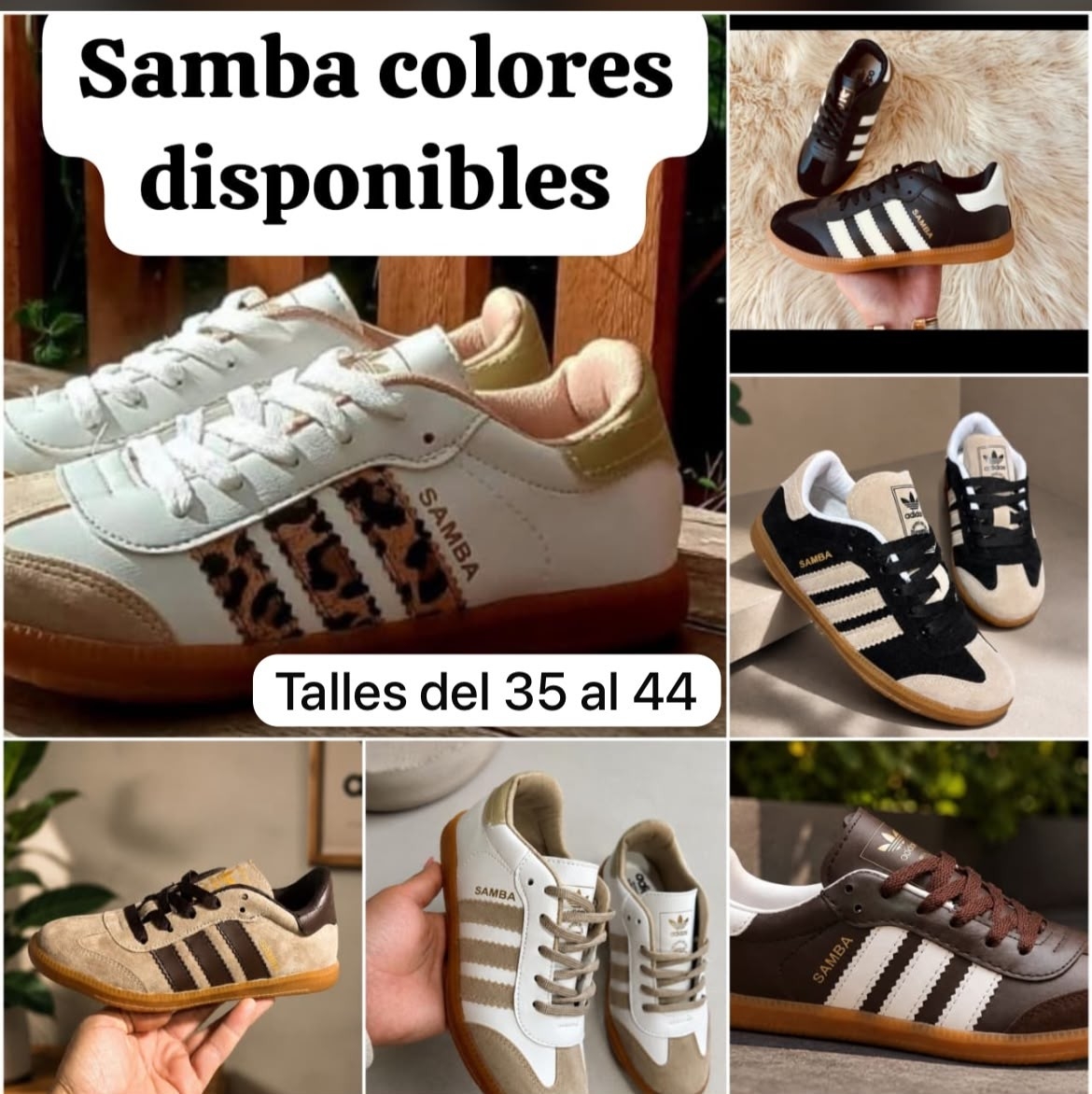 Samba Calidad Premium - Imagen 3