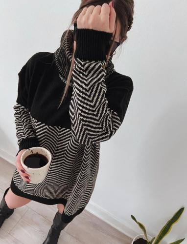 Sweater Poleron