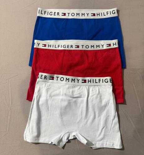 Boxer Tommy
