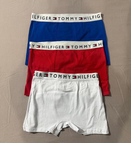 Boxer Tommy