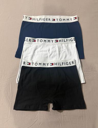 Boxer Tommy - Miniatura 2