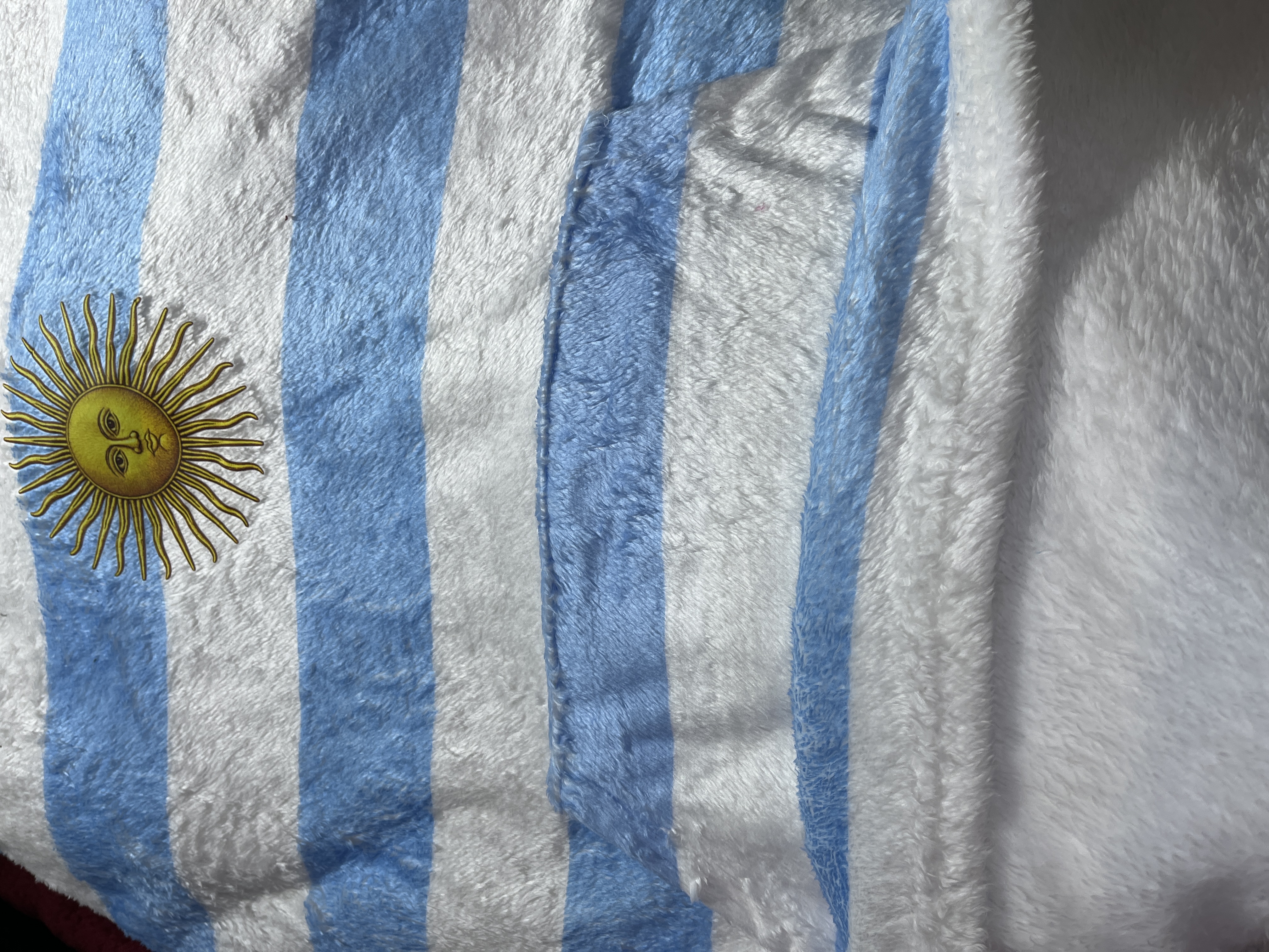 Manta Buzo de Argentina Peluche Muy Lindas!!! - image.jpg