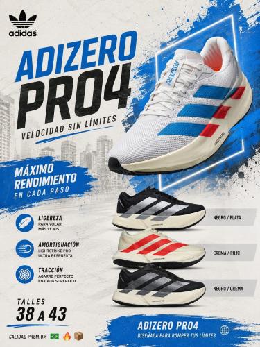 Zapatillas