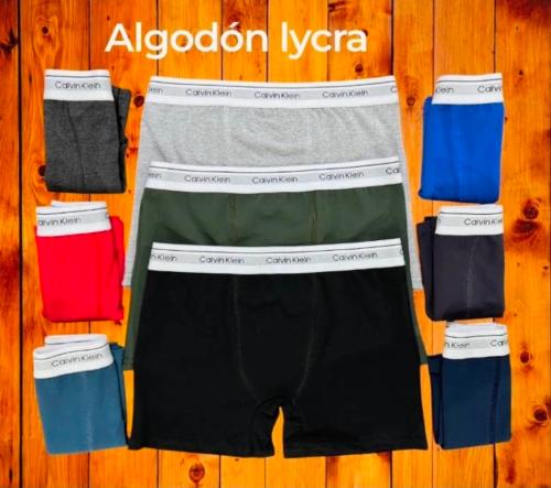 Boxer Ck