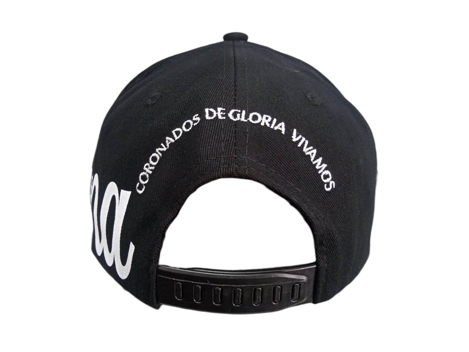 Gorras Afa Argentina Premium Mundial. 
$7500 desde 36 Unidades
$8000 desde 10 Unidade - Imagen 6