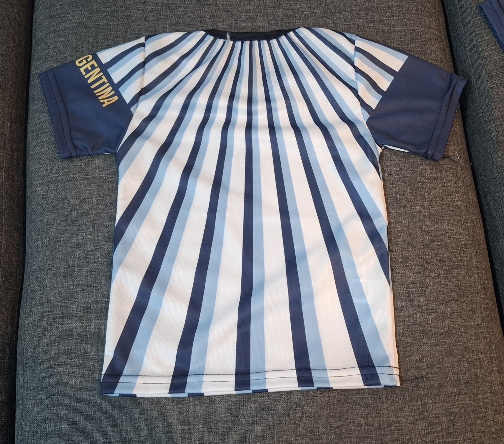 Camiseta Pre Match a Rayas Sublimadas, de Adulto - Imagen 5