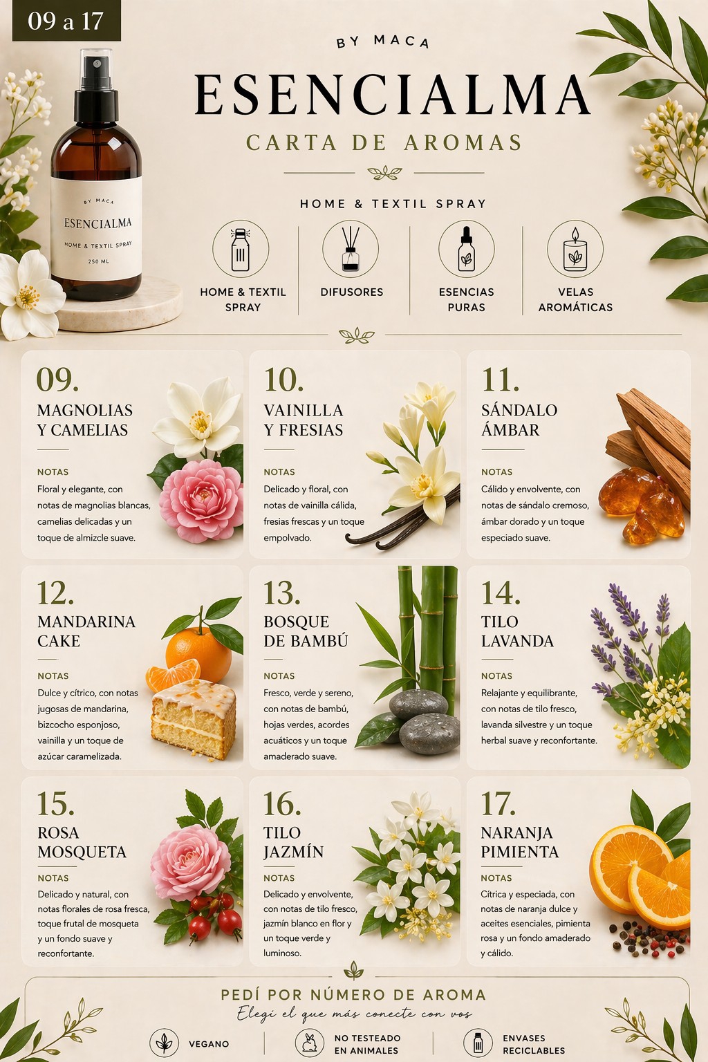 Home Spray Premium X Mayor - Imagen 2