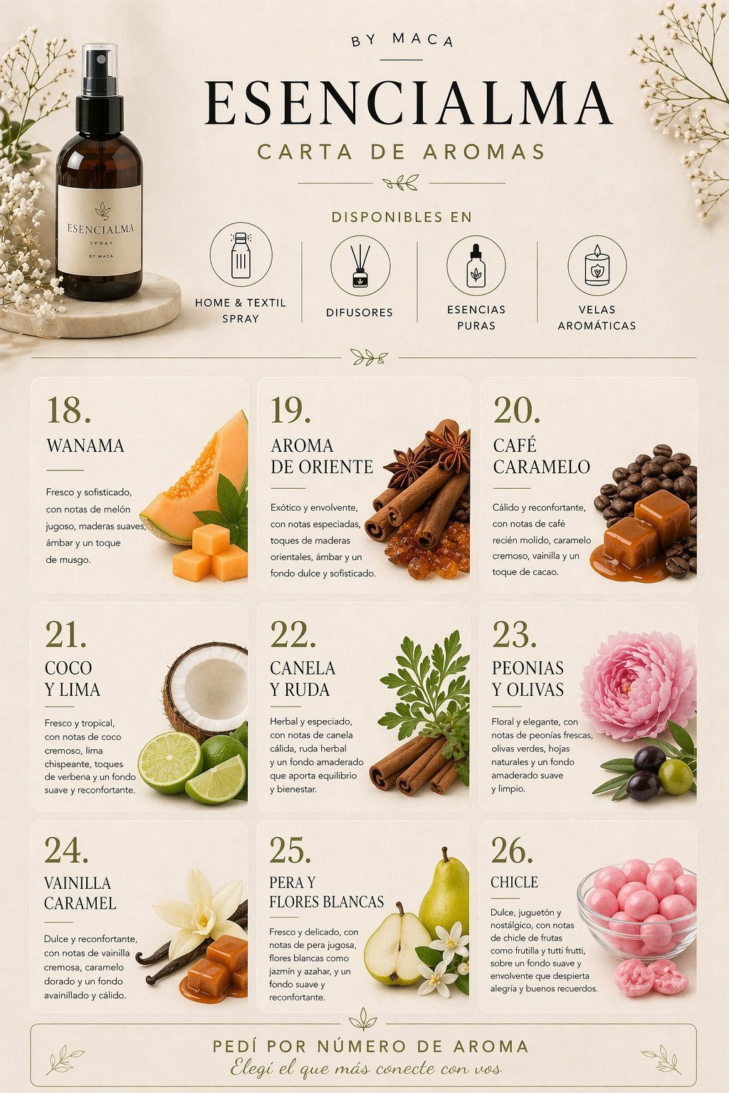 Home Spray Premium X Mayor - Imagen 3