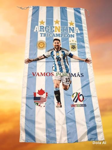 Banderas Argentina 2