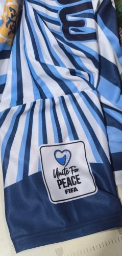 Camisetas Argentina