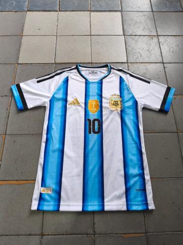 Remeras Argentina Adulto Bordadas