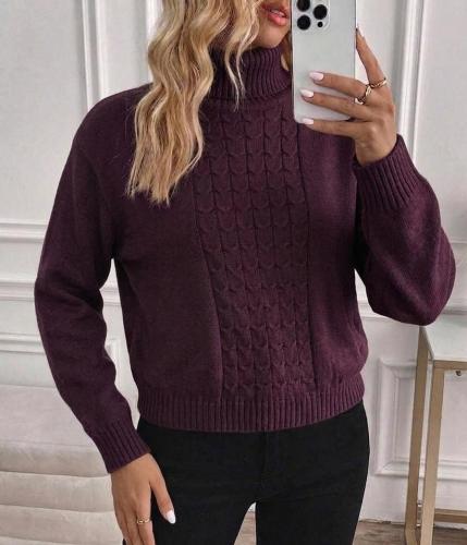 Sweater Bremer Cuello Polera