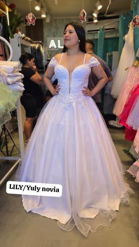 Lily Novia