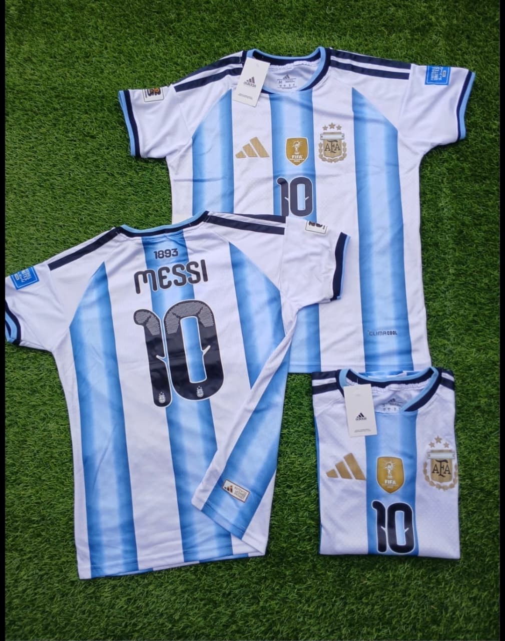 Camiseta Termo Sellada W 26 - Imagen 5