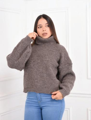 Sweater Friz Polera (zra)