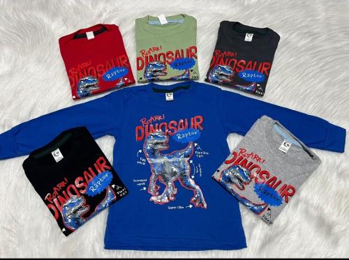 Camiseta Nene Dinosaur