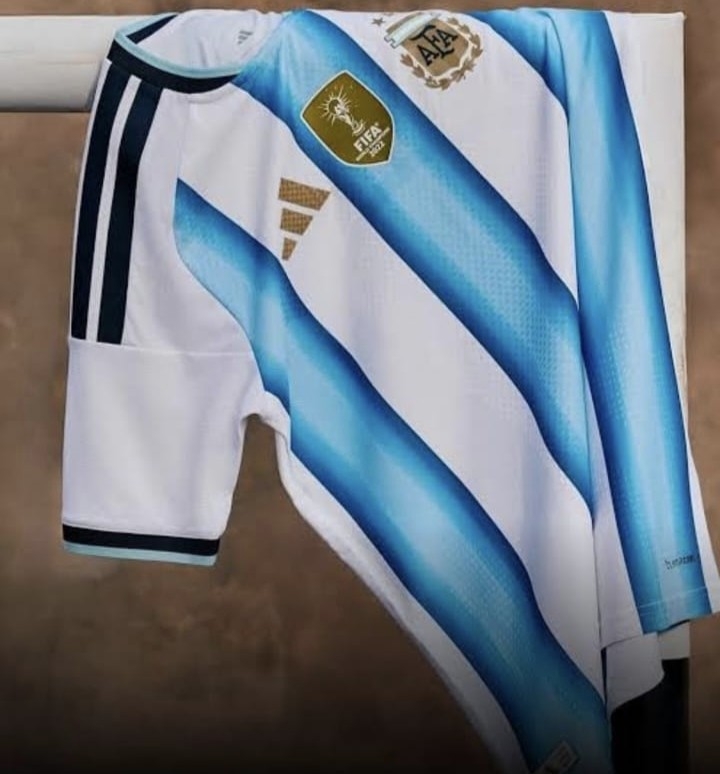 Camiseta - Imagen 4
