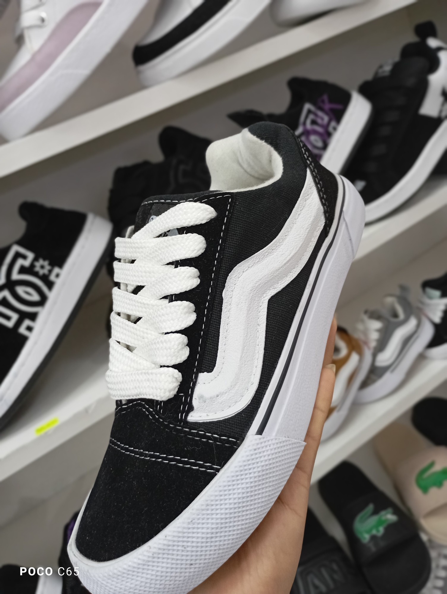 Vans_knu - Imagen 2