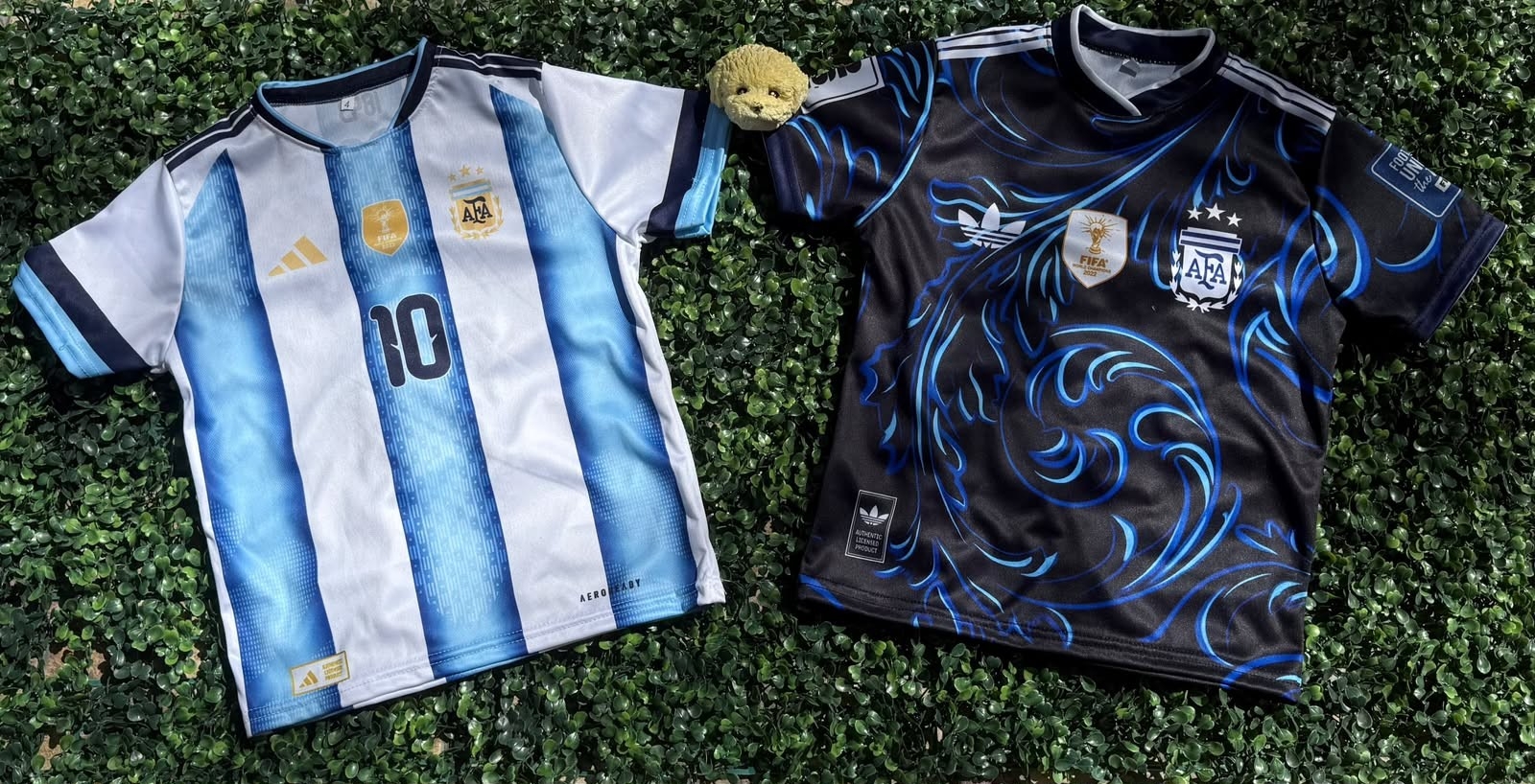 Argentina - Imagen 2