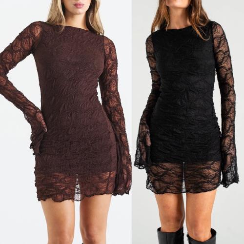 Vestido Encaje Manga Larga