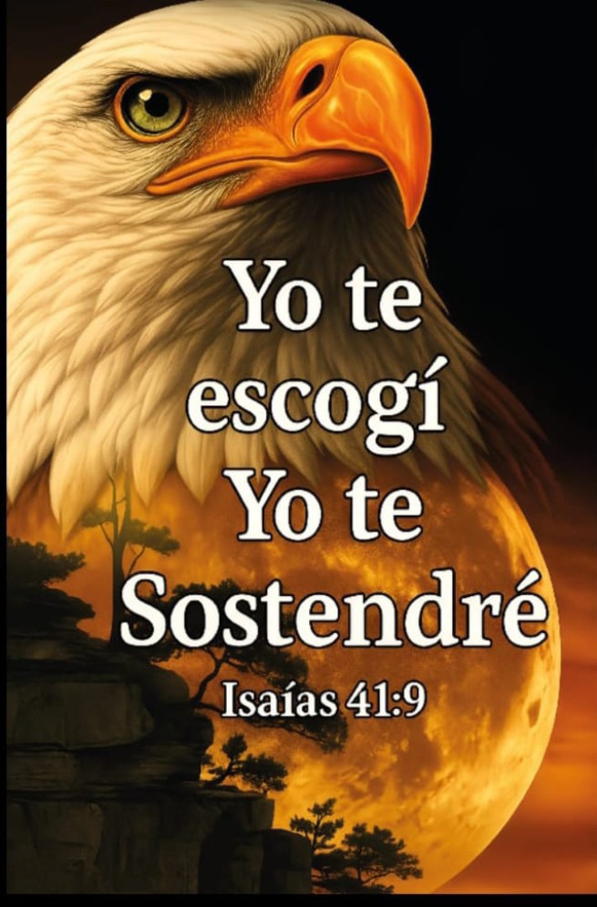 Dtf Cristianos - Imagen 5