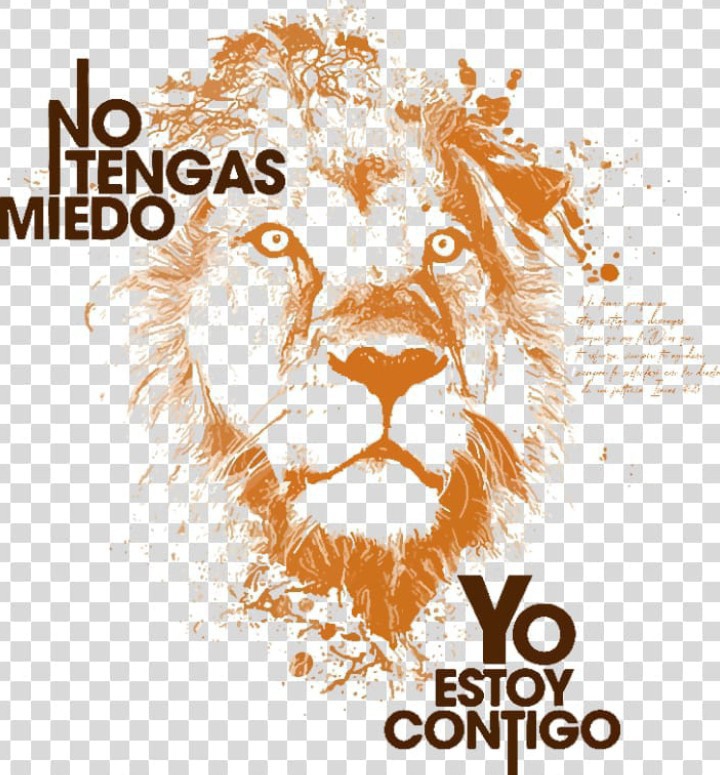 Dtf Cristianos - Imagen 8