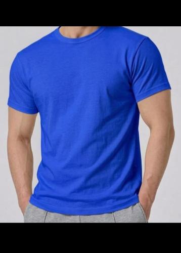 Remera Lisas Adulto