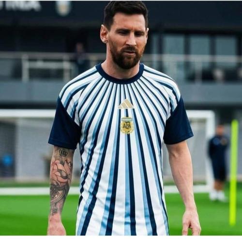 Camiseta Entrenamiento de Adulto del S al Xxl
