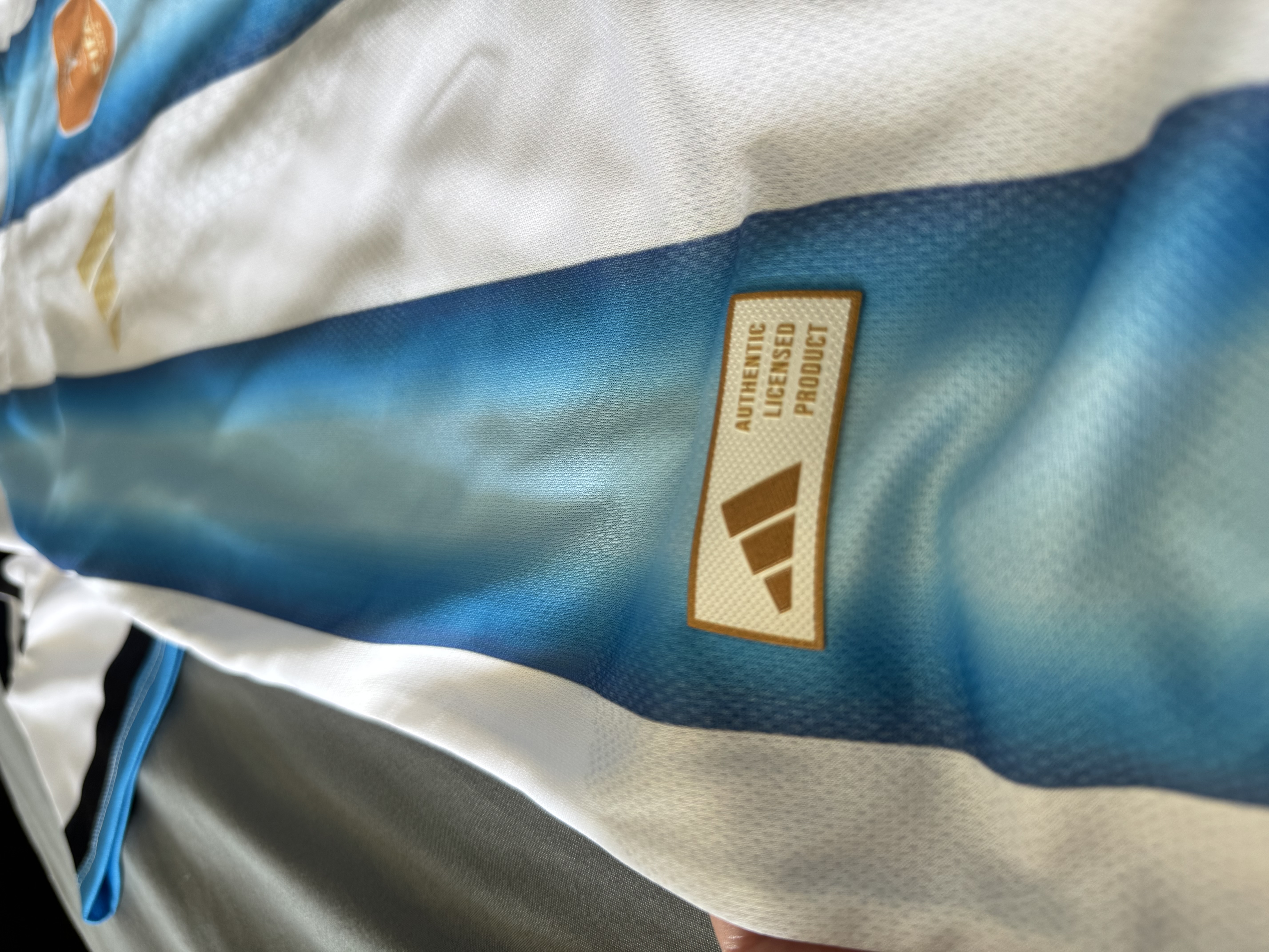 Remera Seleccion - IMG_6182.jpeg