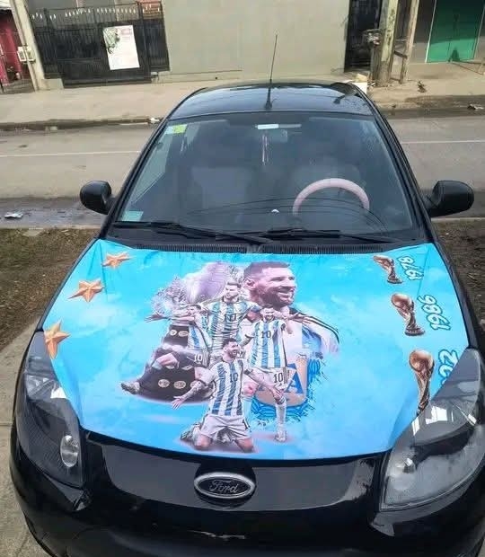Funda para Autos Diseños - Imagen 2