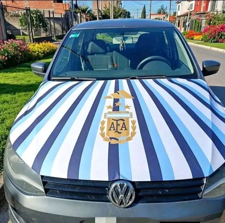 Funda para Autos Diseños - Imagen 3