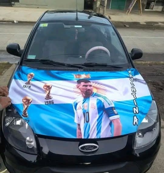 Funda para Autos Diseños - Imagen 6