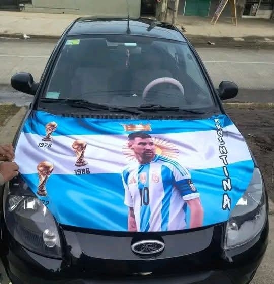Fundas para Autos Diseños - Imagen 3