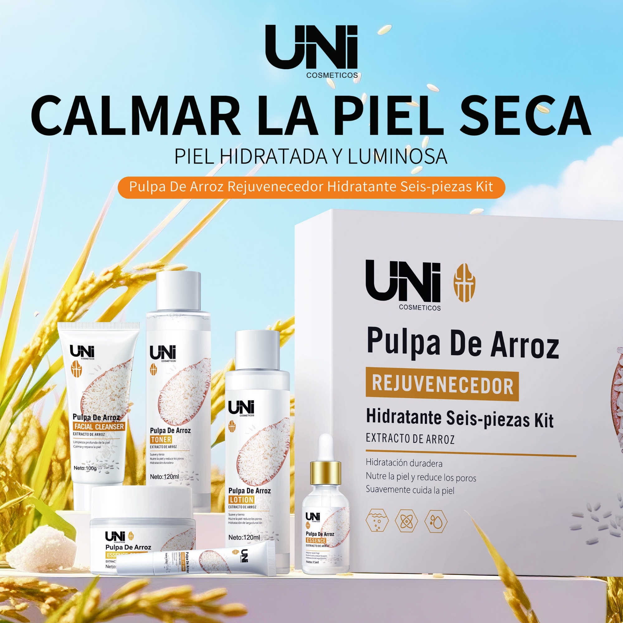 Kito de Limpieza Facial  por 6 Pieza - Imagen 2