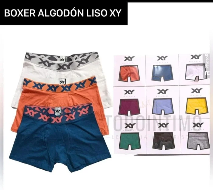 Boxer Xy