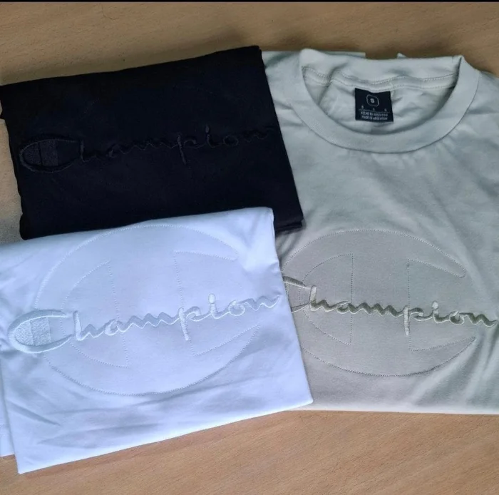 Remeras Bordadas 3d de Hombre Premiun Multimarcas