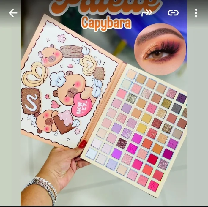 Paleta de Sombras Capibara 63colores