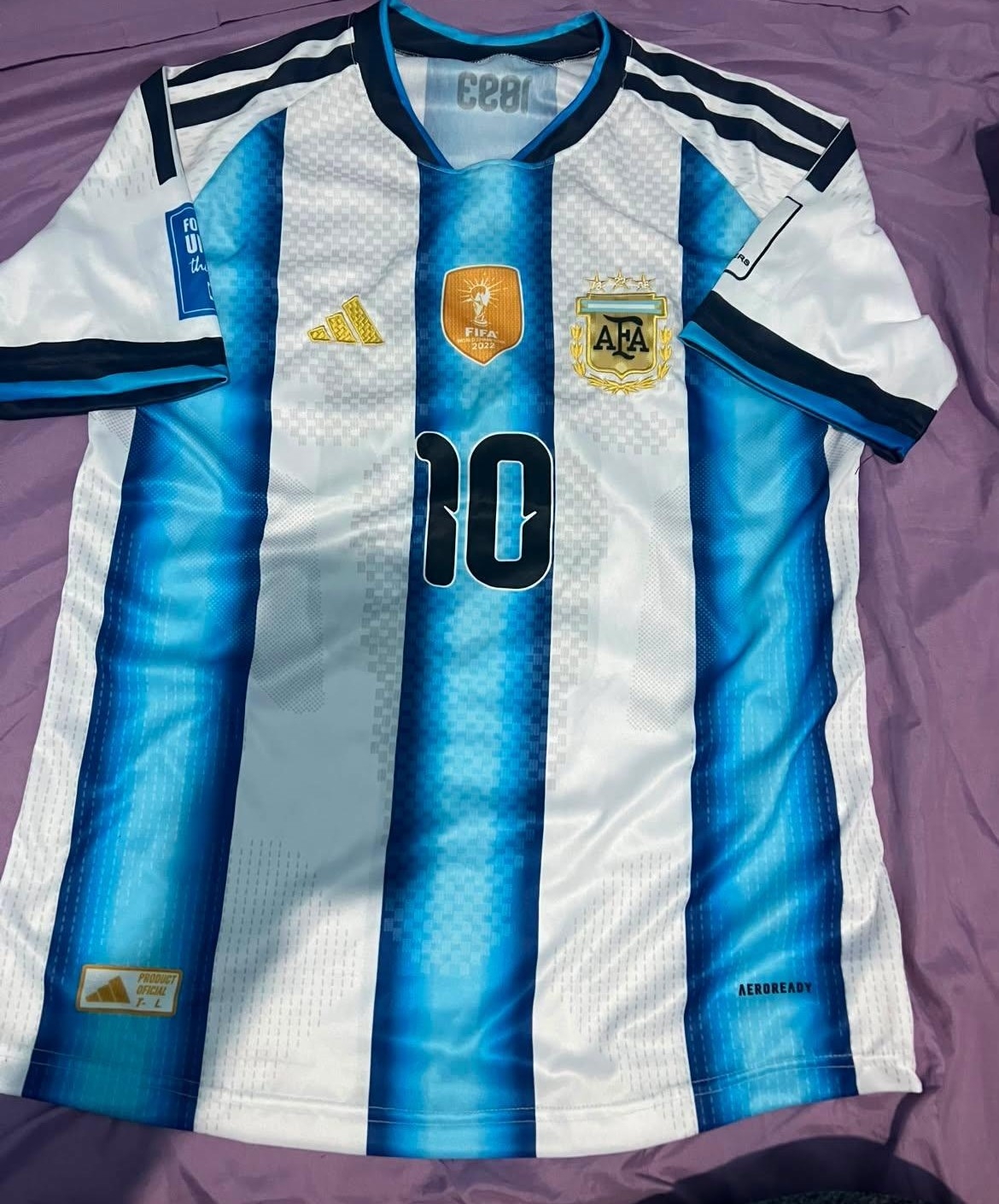 Camiseta Bordada Argentina - Imagen 1