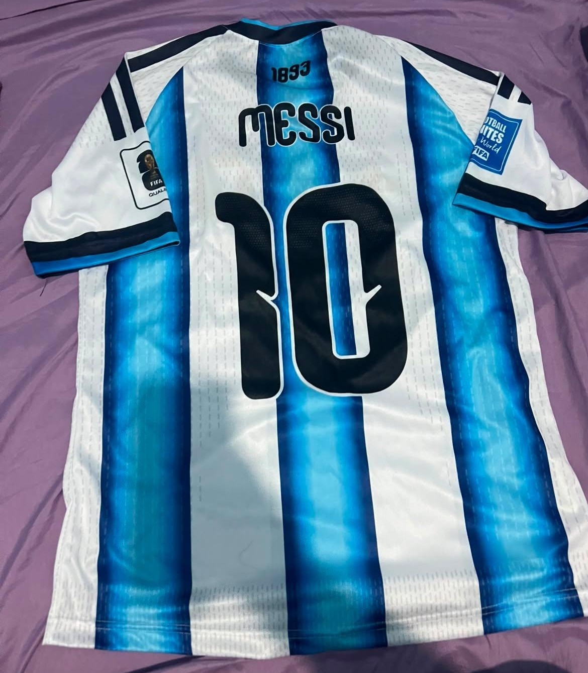 Camiseta Bordada Argentina - Imagen 2
