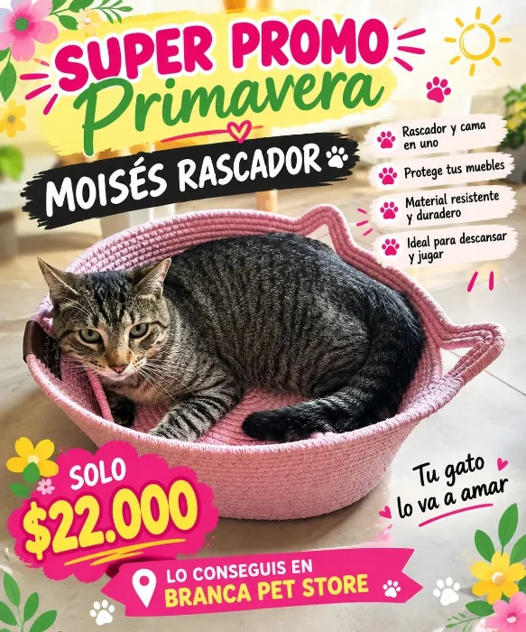 Moises Rascador para Gatos