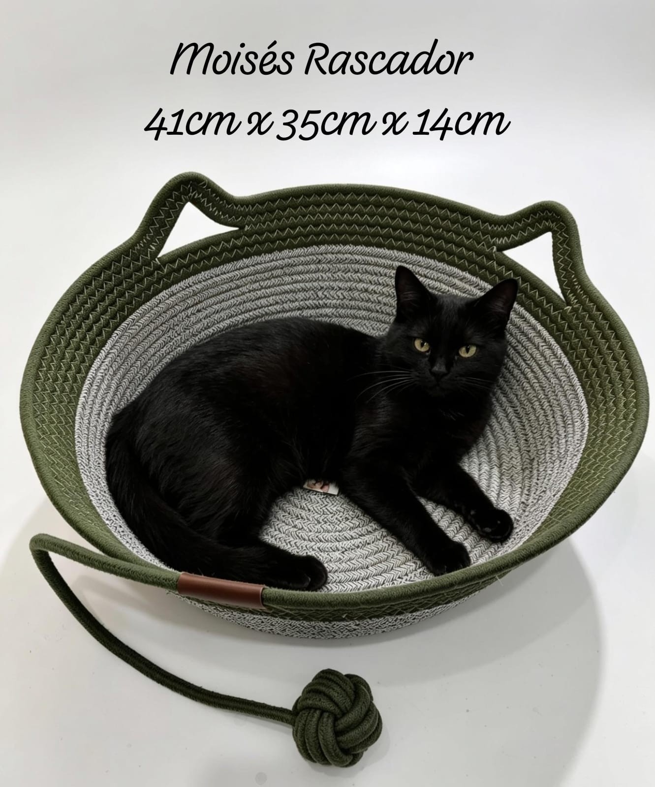 Moises Rascador para Gatos - Imagen 1