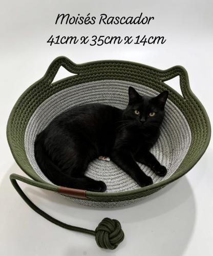Moises Rascador para Gatos