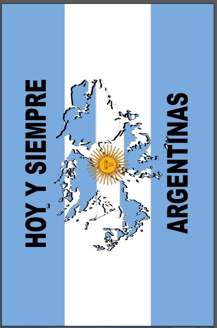 Banderas Argentina - Imagen 6