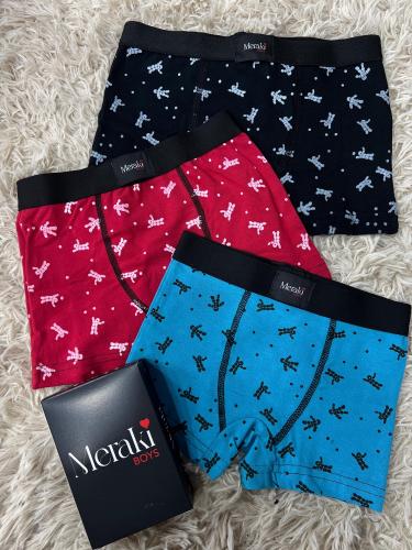 Boxer Kids Meraki