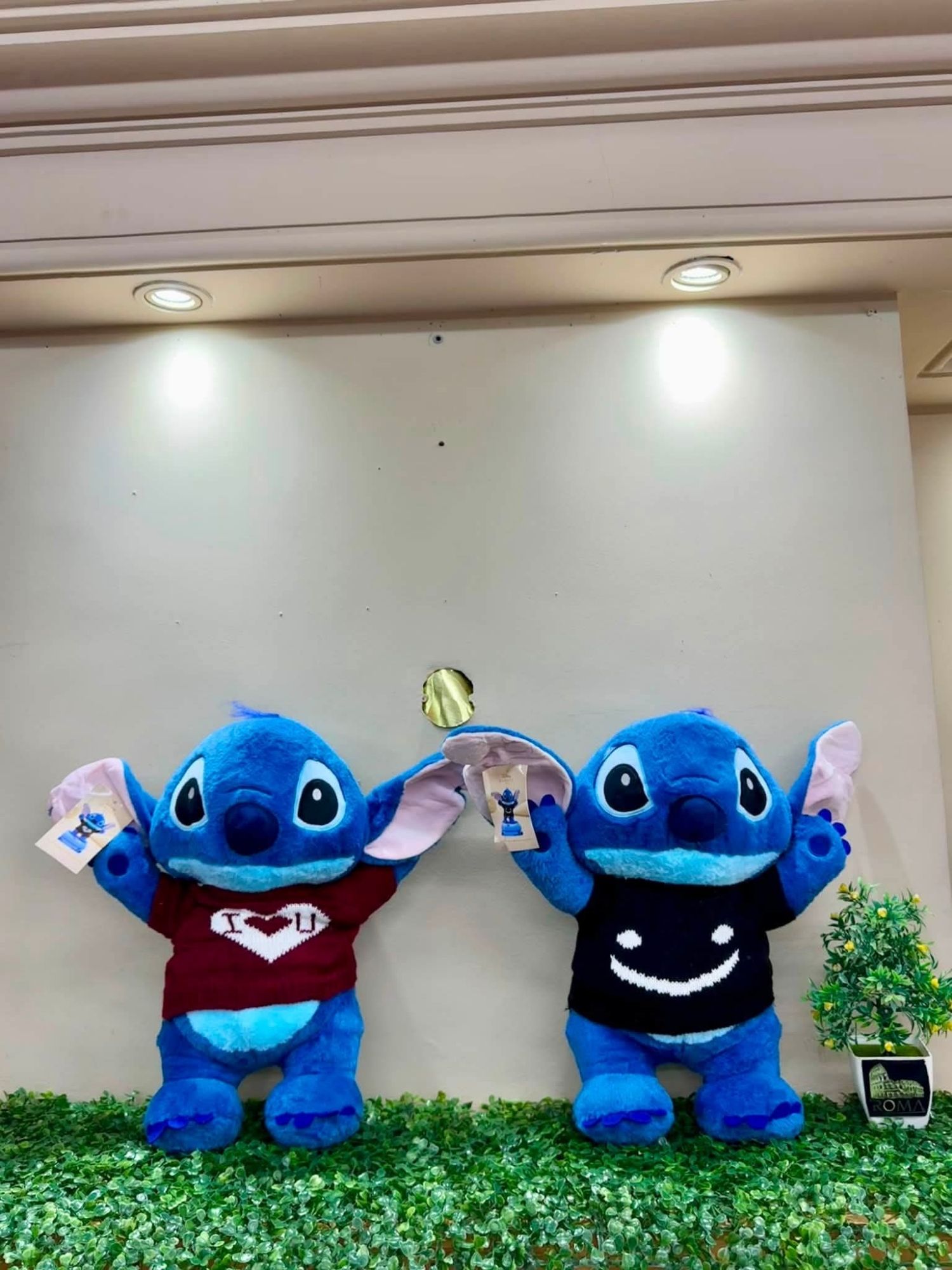 Stich con Manta Grande - Imagen 9