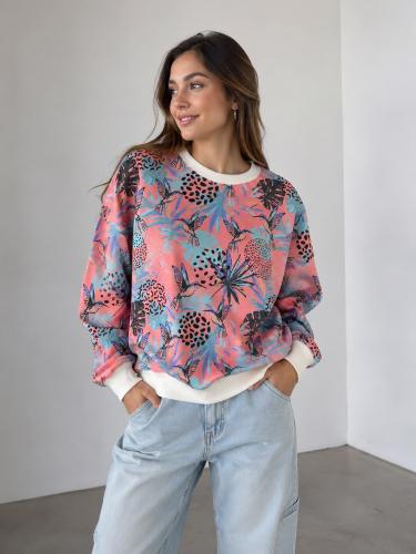 Colibrí