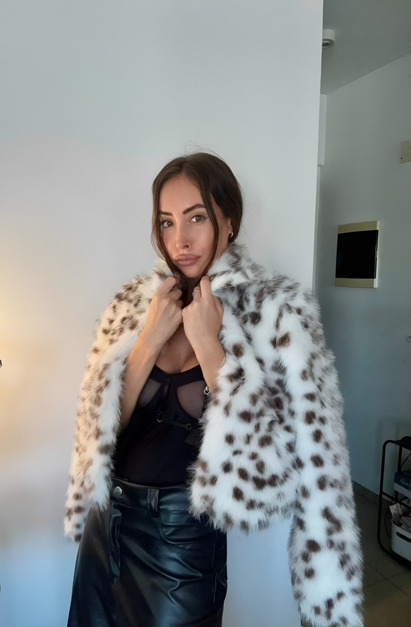 Tapado Dalmata - Imagen 2