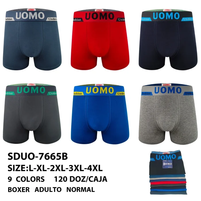 Boxer